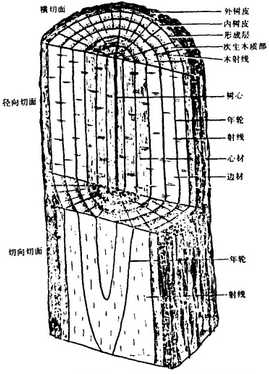 ľ���@΢�D��